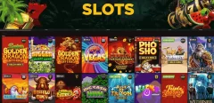 Wild Casino Slots