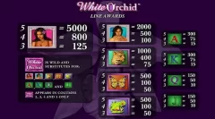White Orchid Demo play free 4